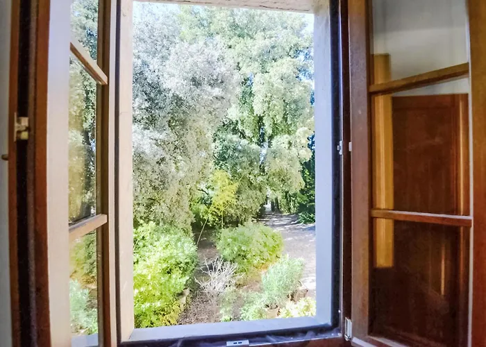 1 Bedroom Pet Friendly In Apartamento Citerna